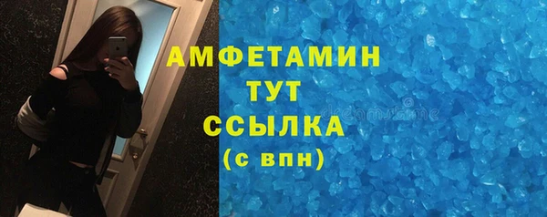 прущие грибы Богородицк
