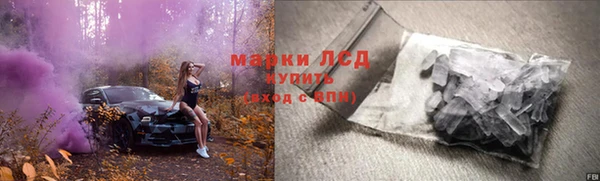 ECSTASY Богданович