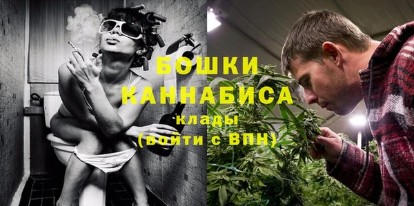 прущие грибы Богородицк