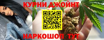 гидра Рузаевка