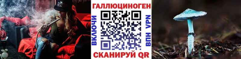 Псилоцибиновые грибы Psilocybe Свободный