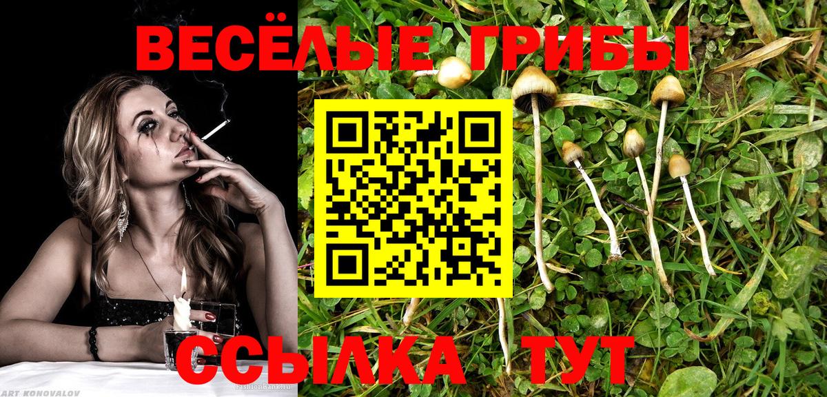 Псилоцибиновые грибы мицелий  Вход с VPN  Свободный 